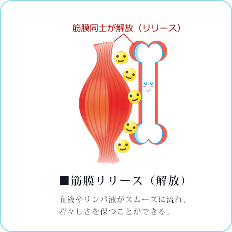 筋膜リリース（解放）